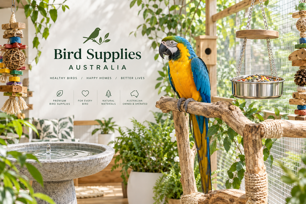 Explore supplies for pet birds and outdoor bird feeding, including bird cages, aviaries, perches, toys, feeders and baths.