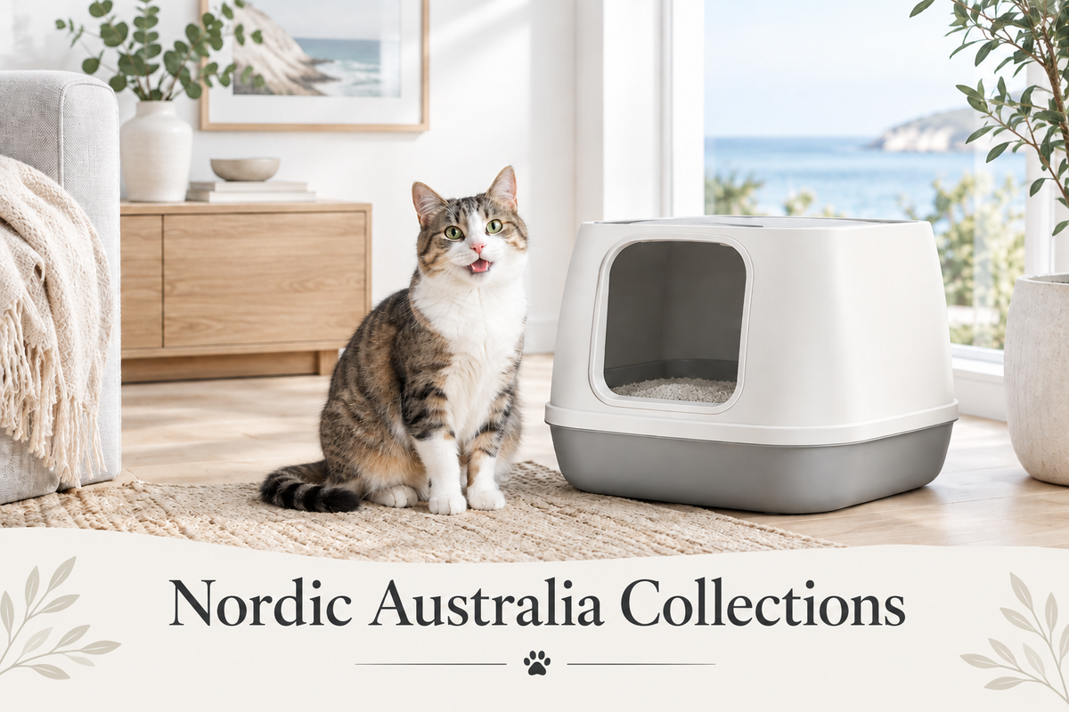 Cat Litter Australia