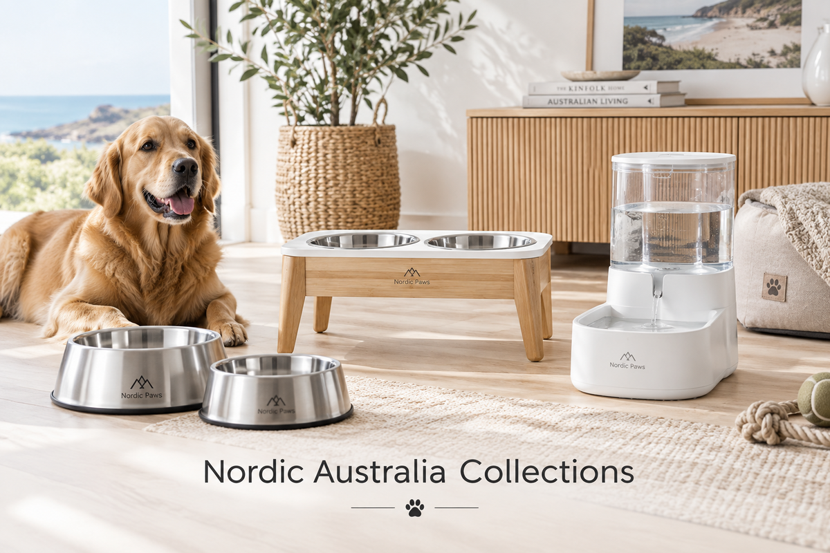 Dog Bowls, Feeders & Waterers Australia