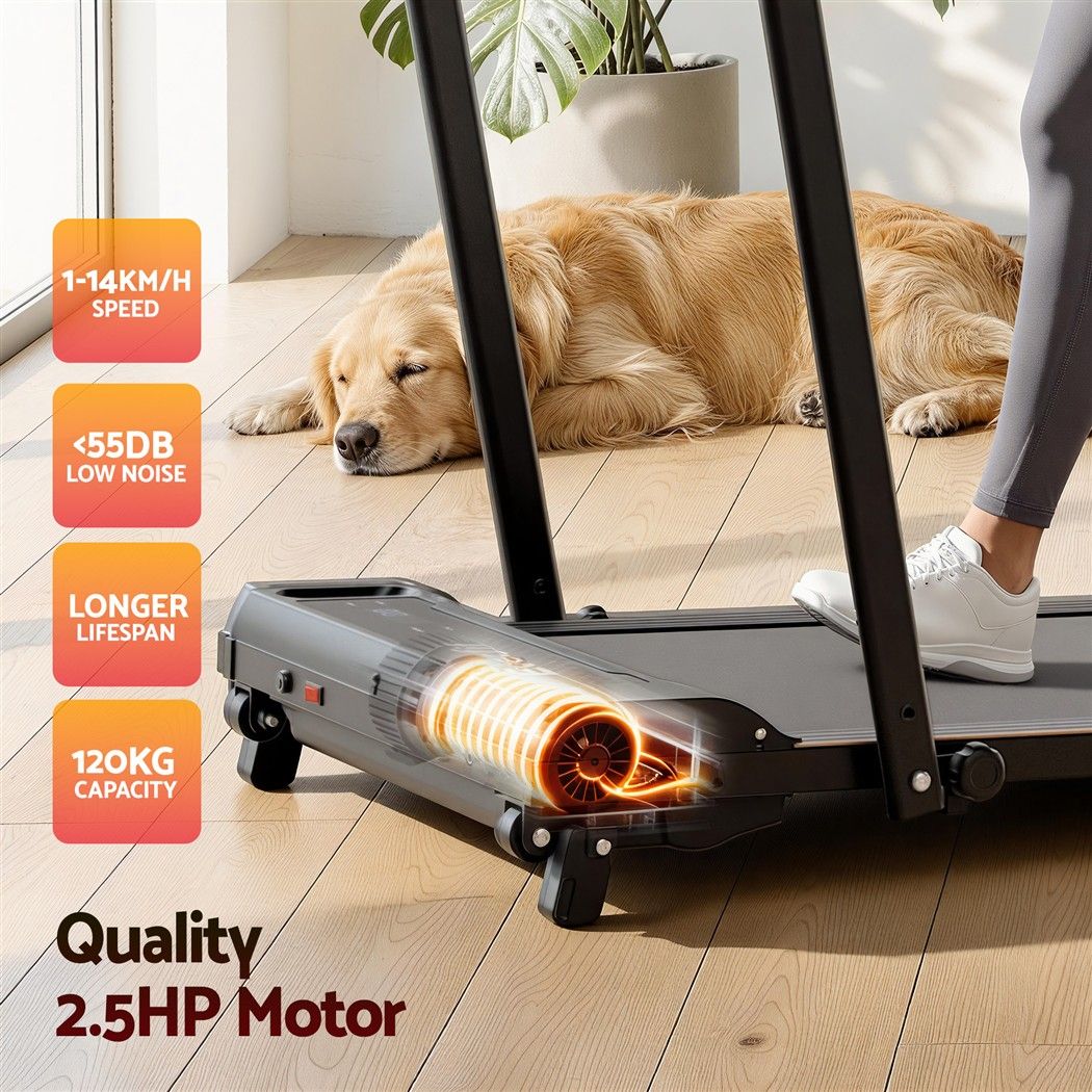 Everfit 3 in 1 Walking Pad Treadmill 12% Incline Foldable Under Desk Treadmills for Home Gym With 40cm Wide Belt Black