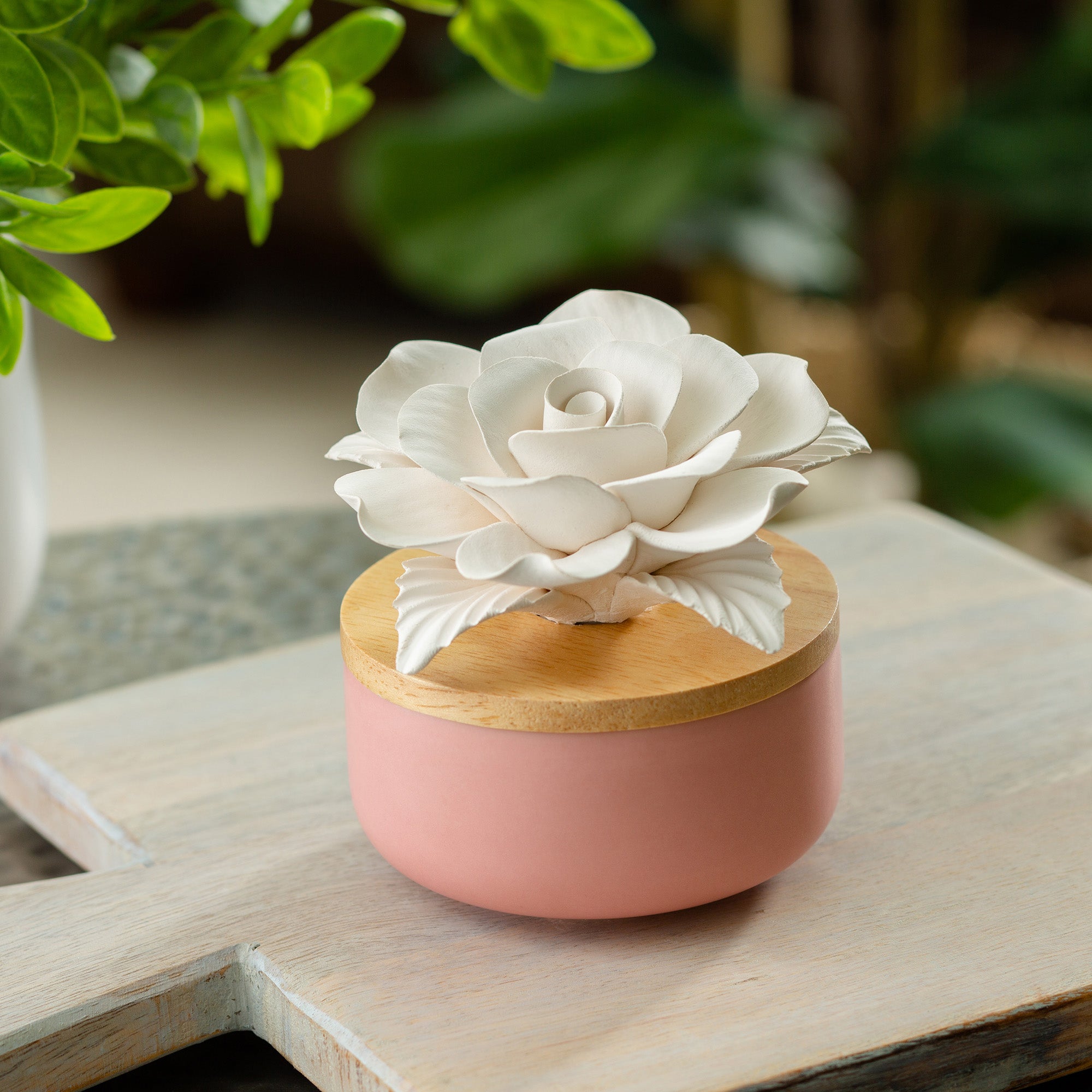 Rose Porcelain Passive Diffuser - RRP $29.95 - Wholesale