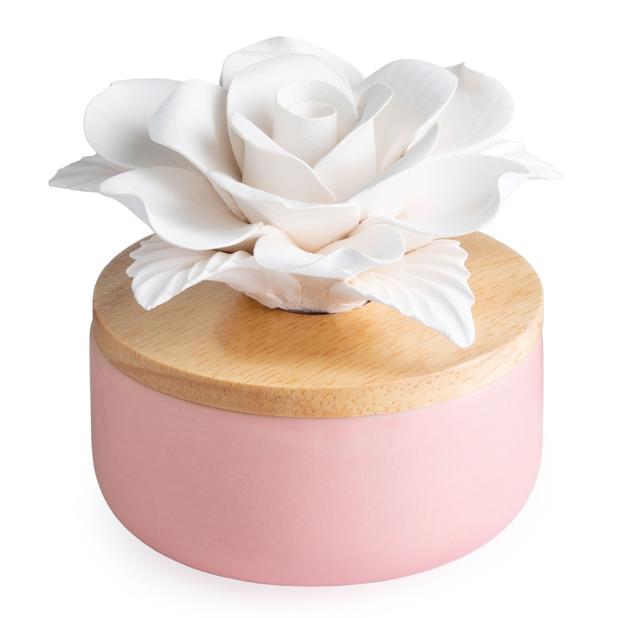 Rose Porcelain Passive Diffuser - RRP $29.95 - Wholesale