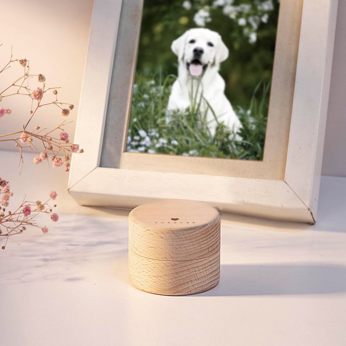 Pet Urns for Dog or Cat Ashes - with Transparent Acrylic Box - Mini urns for pet Ashes, Wooden Pet Cremation Urns, Pet Memorial Keepsake Cat or Dog Memory Box - Wood - Size Rainbow Bridge