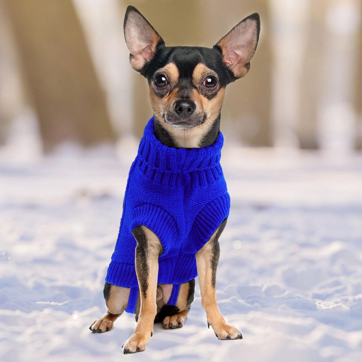 Dog Coat - Dog Sweater - Small Dog Sweater - Warm Dog Coat - Warm Puppy Sweater - Thick Knit Winter Sweater - Soft Roll Neck Sweater - Perfect for Small Dogs and Puppies - Christmas - Size M