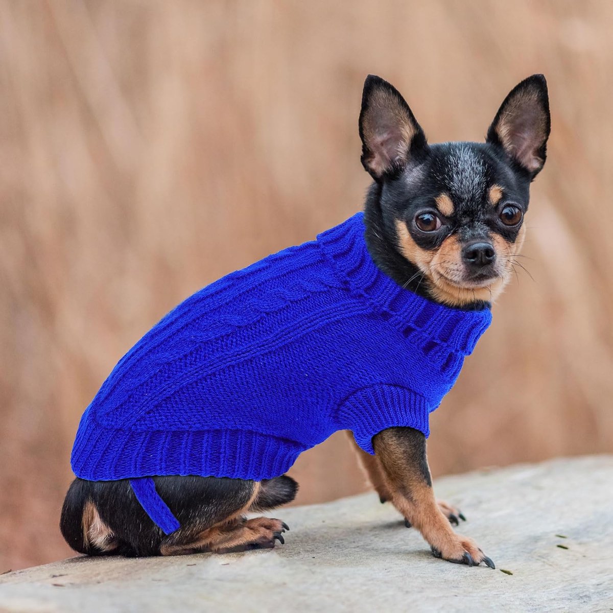 Dog Coat - Dog Sweater - Small Dog Sweater - Warm Dog Coat - Warm Puppy Sweater - Thick Knit Winter Sweater - Soft Roll Neck Sweater - Perfect for Small Dogs and Puppies - Christmas - Size L