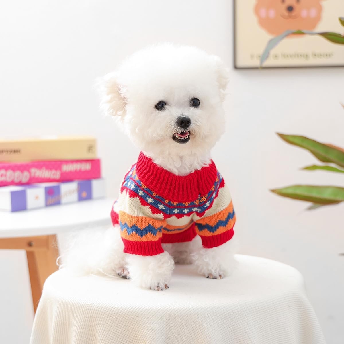 Dog Coat - Dog Sweater - Sweater for Small Dogs - Dog Sweater - Winter Knitted Sweater - Warm and Lightweight Cat Sweater - Perfect for Chihuahuas - Holidays - Christmas Decorations - Christmas - Size XL