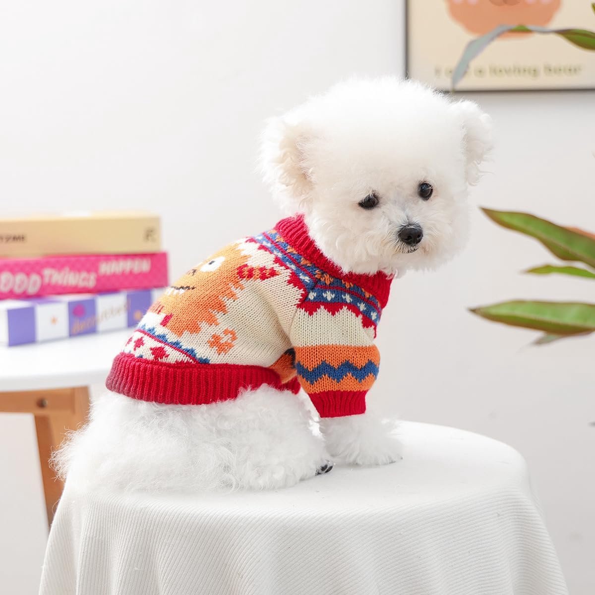 Dog Coat - Dog Sweater - Sweater for Small Dogs - Dog Sweater - Winter Knitted Sweater - Warm and Lightweight Cat Sweater - Perfect for Chihuahuas - Holidays - Christmas Decorations - Christmas - Size XL