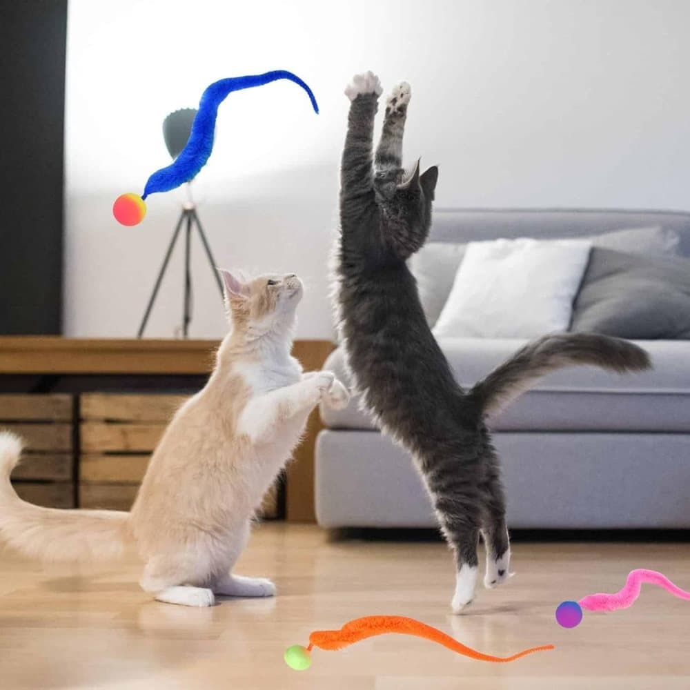6-Pack Cat Toy, Colorful Interactive Balls with Tail for Play & Exercise