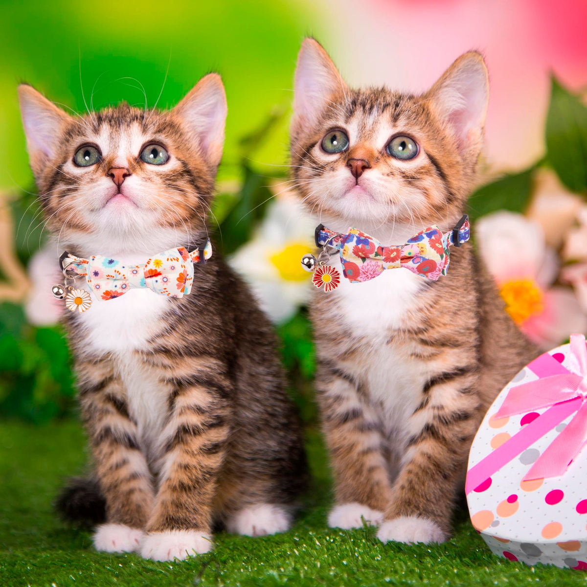 Floral Cat Collar Breakaway with Bow Tie Bell - 2 Pack Cute Flower Cat Collars with Removable Bowtie Floral Bowtie Collars(Floral)