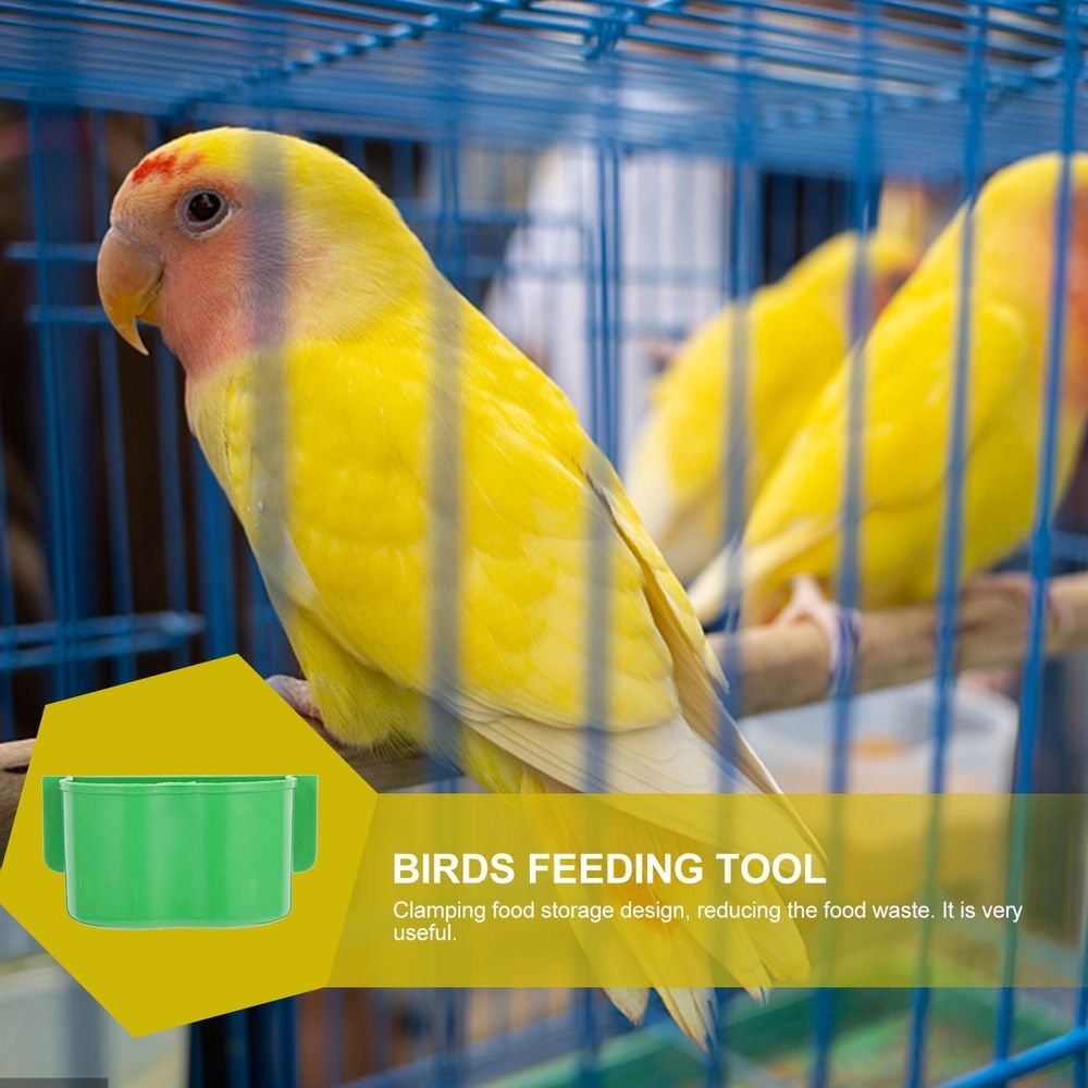 Plastic Bird Feeder Green Sturdy and Versatile for Most Pets Easy Installation