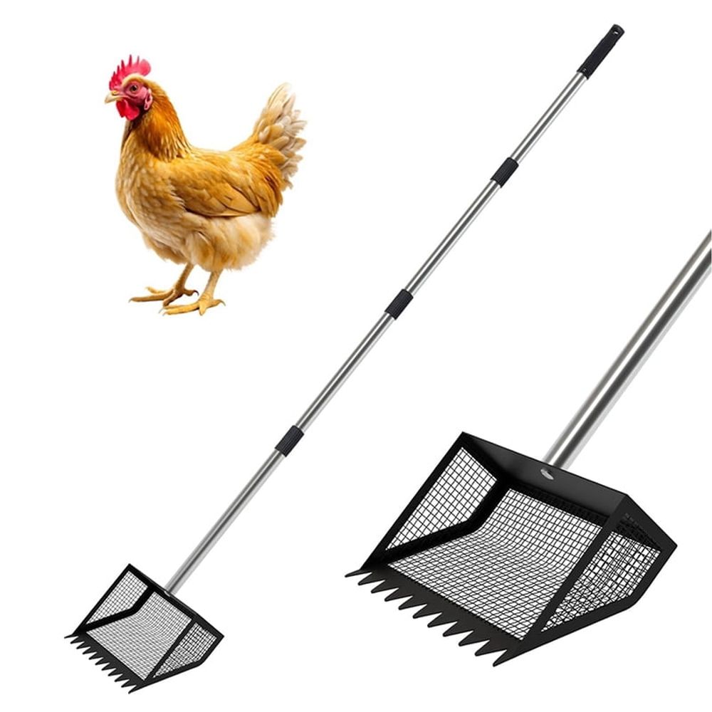 Chicken Poop Scooper, 10inch Large Chicken Poop Scooper Head for Sand, 62-Inch Long Handle Chicken Droppings Scoop Rake