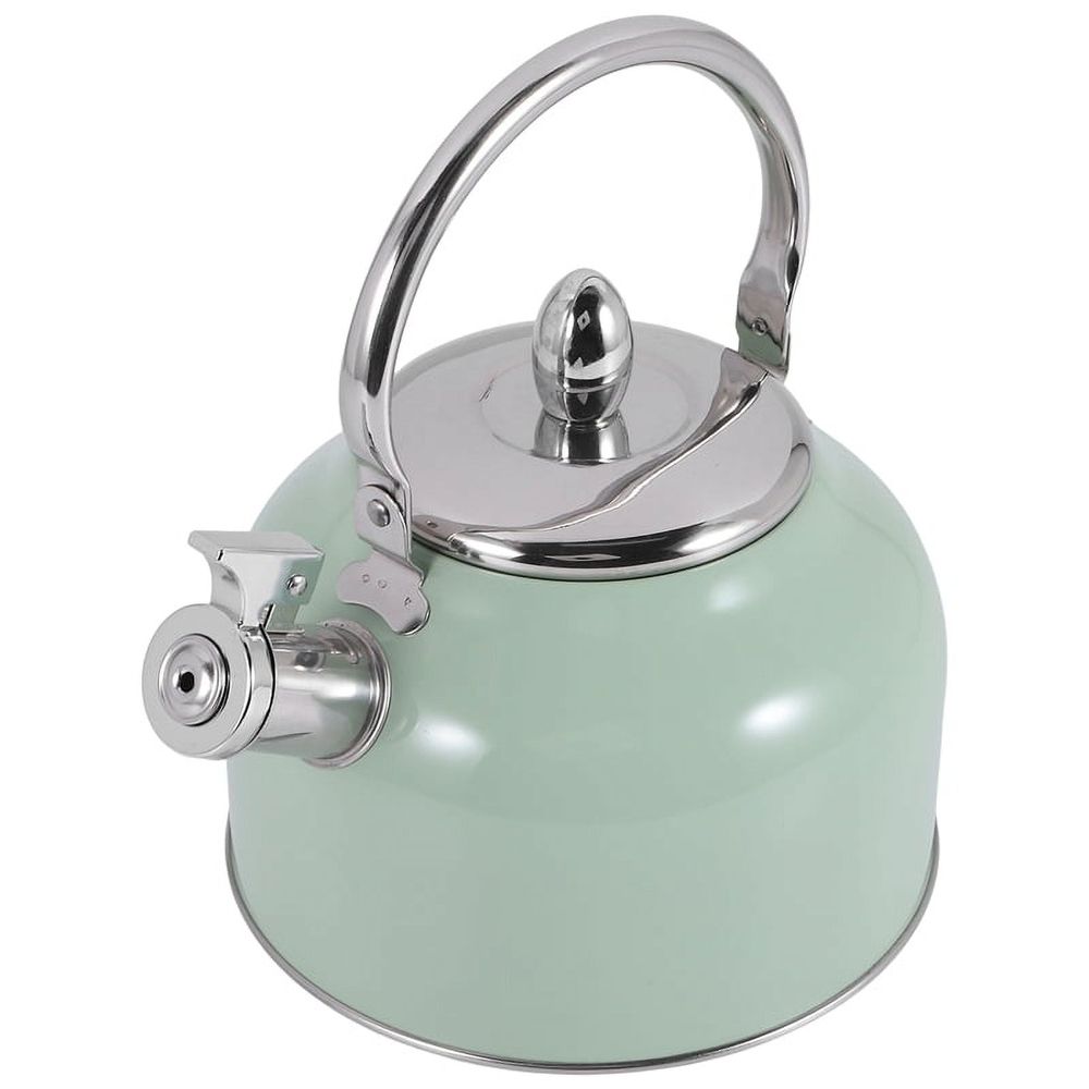 Stylish Stovetop Kettle, Stainless Steel Green, 19.5x17 Cm