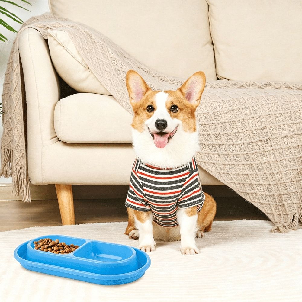 2Pcs Ant Proof Cat Food Bowls Double Tray Dog Bowl Non Slip Plastic Pet Feeder 10.8X5.9X1.4 Inch