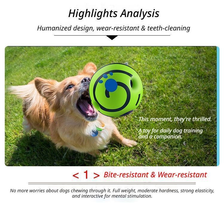14cm Dog Squeaky Ball Color Box