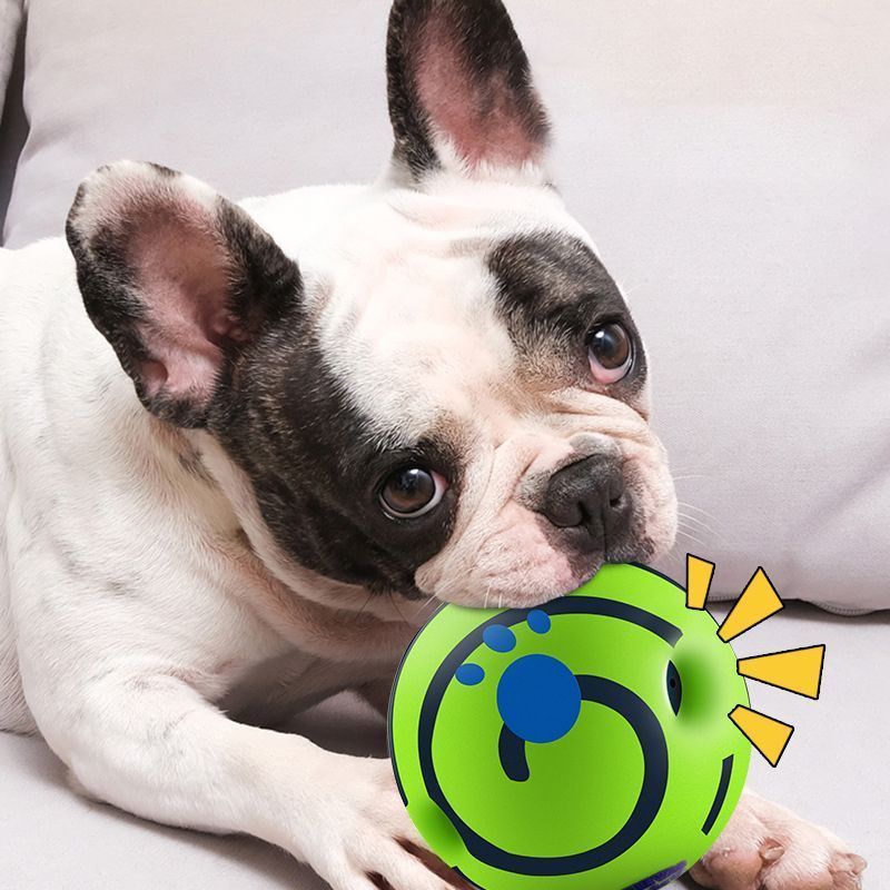 14cm Dog Squeaky Ball Color Box