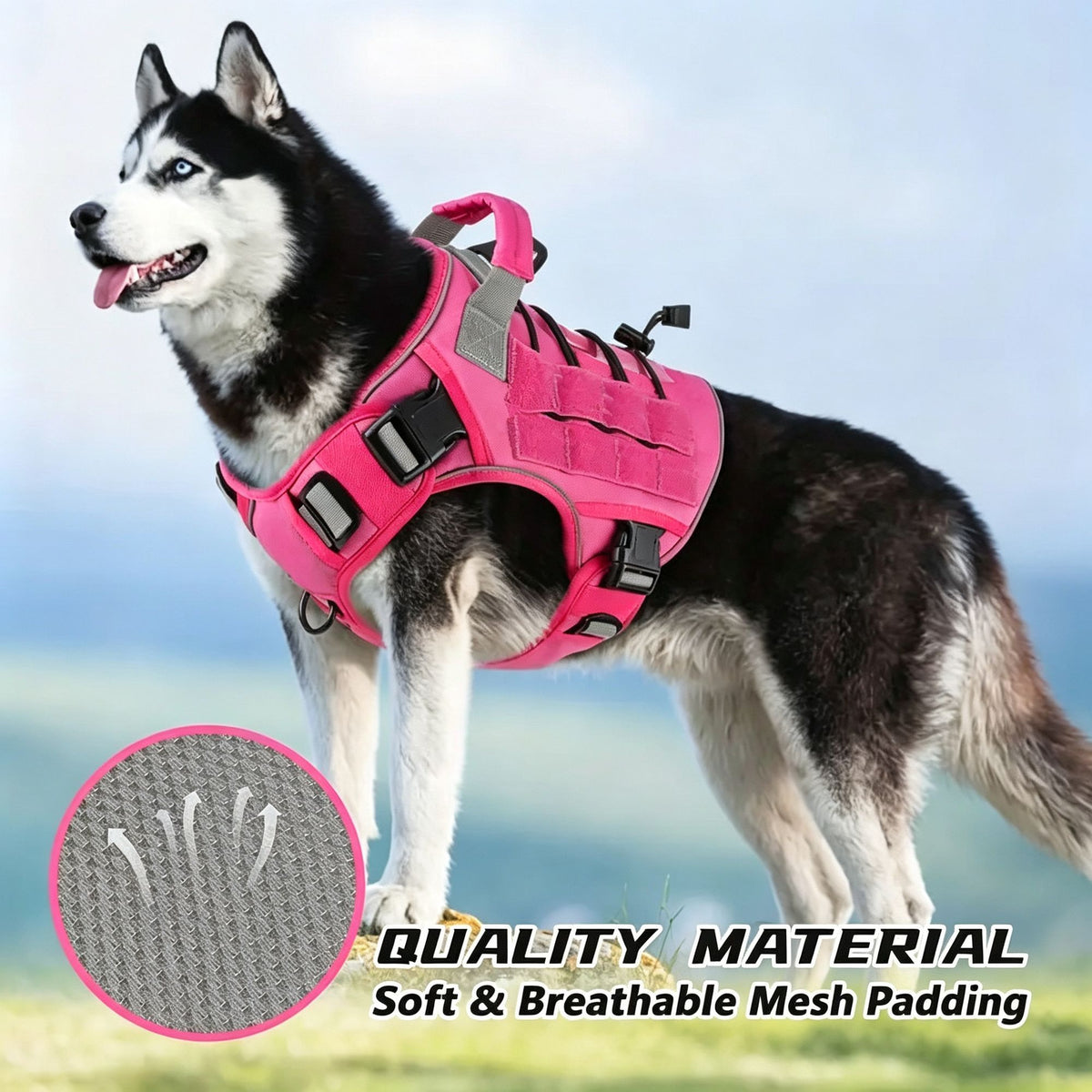 Orange S | Waterproof Outdoor Dog Vest Harness | Christmas Visibility Walk Gift | for Small Medium Dogs