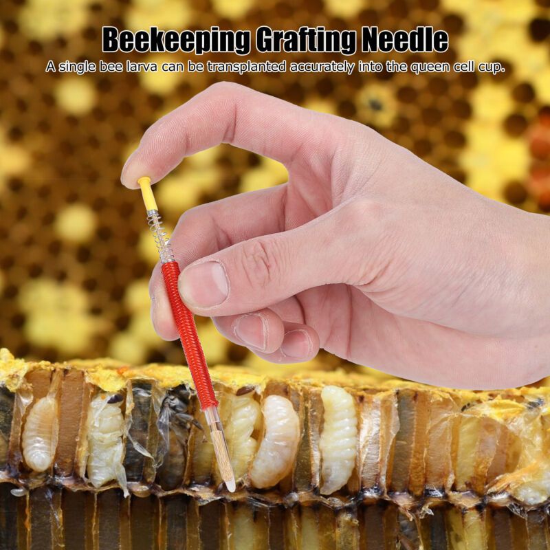 25 Pcs Beekeeping Larvae Grafting Needles Queen Bee Rearing Tool Beekeeping Equipment