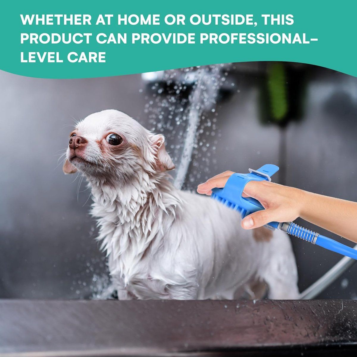 Pet Shower Head with Bath Brush 2 in 1 Dog and Cat Washing Sprayer with Hose for Indoor and Outdoor Use, Blue