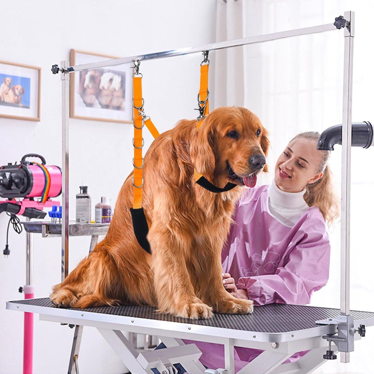 Dog Grooming Strap with Clip, Adjustable Grooming Loop No Sit Leash for Grooming Table Arm, Dog Restraint Ring for Bathing Trimming, for Small to Medium Dogs, Orange