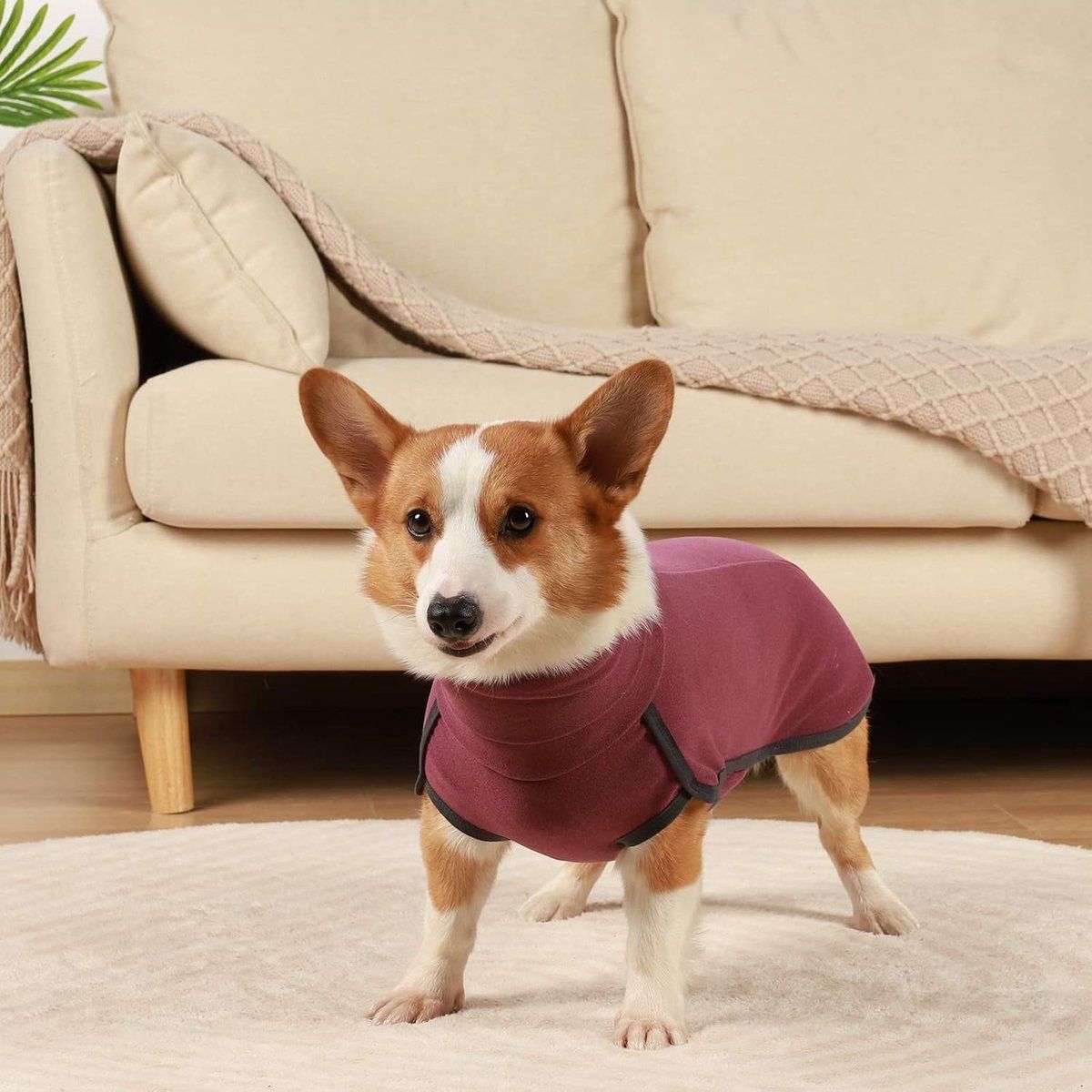 Dog Fleece Vest Turtleneck Sweatshirt Warm Lightweight Pullover Puppy Clothes for Indoor Outdoor Use, Red, Size L