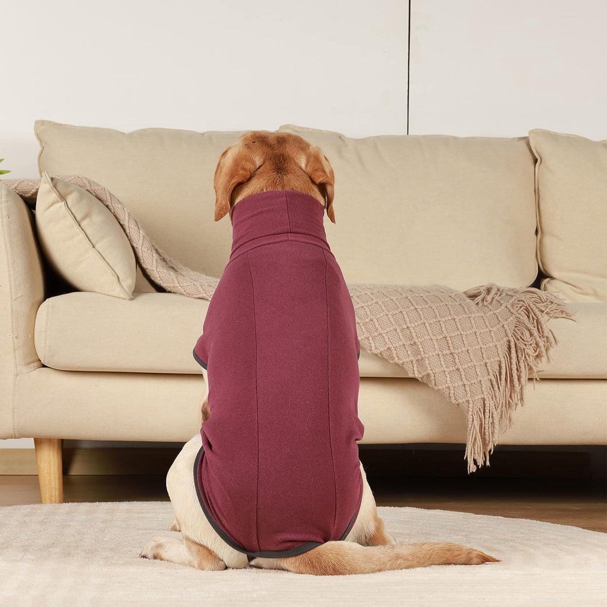 Dog Fleece Vest Turtleneck Sweatshirt Warm Lightweight Pullover Puppy Clothes for Indoor Outdoor Use, Red, Size L