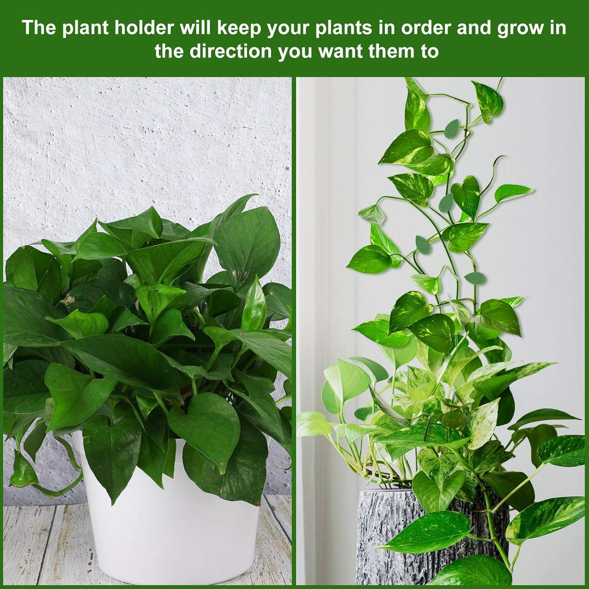 60 Pieces Plant Climbing Wall Fixture Clips with 72 Pieces Acrylic Adhesive Sticker Leaf Fixer Invisible Wall Vines Fixing Clips Hook Plant Vine Traction for Indoor Outdoor Decoration