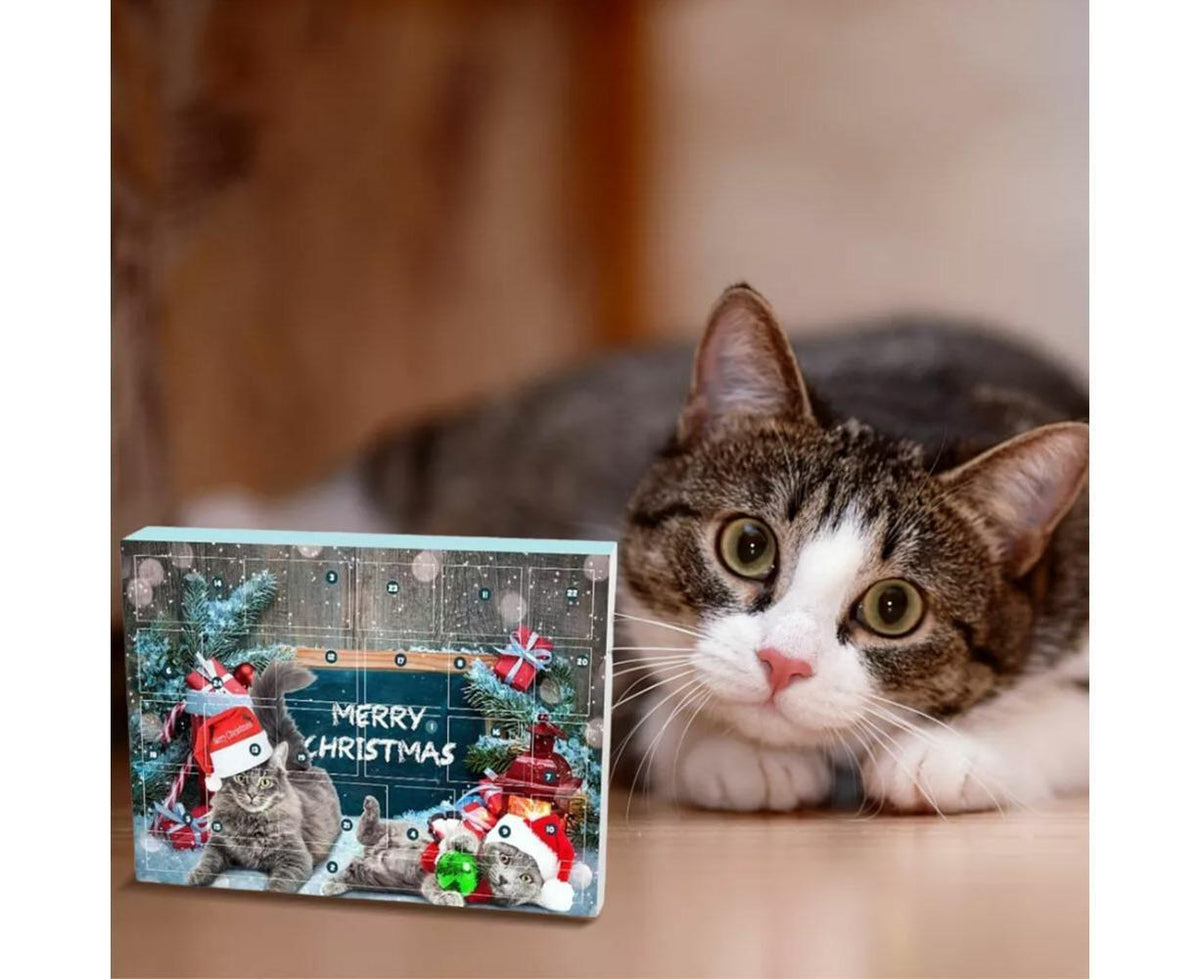 Cat Advent Calendar 2024 Christmas Countdown Calendar Xmas Gift for Kitten Toys 24Pcs