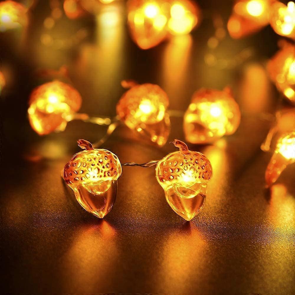 Acorn LED String Lights, 20 LEDs, 6.5ft Battery Powered Fairy Lights