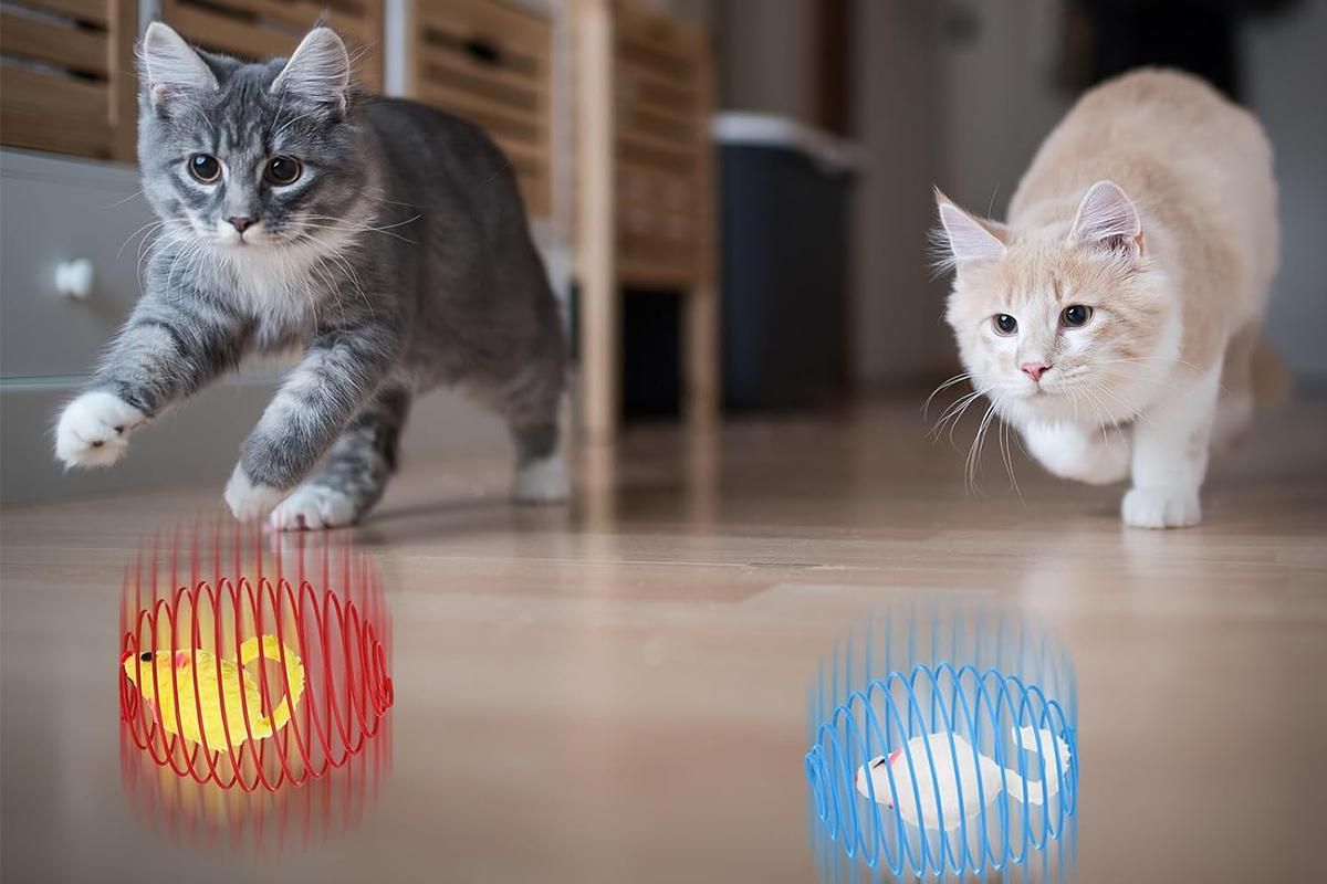 5Pcs Cat Spring Balls Toys Stretchable Rolling Balls Cat Spring Toys for Kitten