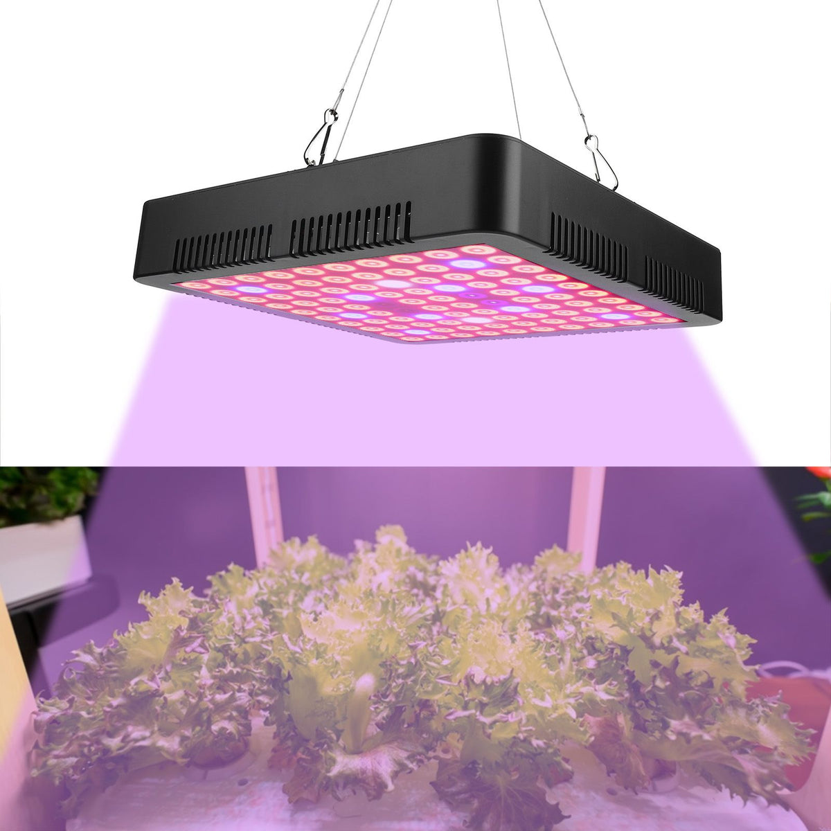 300W 100LED Chips Grow Lamp Full Spectrum Plant LED Panel Growing Lights Fixture