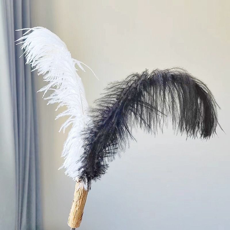 CHIYOOSU Cat Teaser Wand with Feather Bell Ostrich hair replacement head Black + White