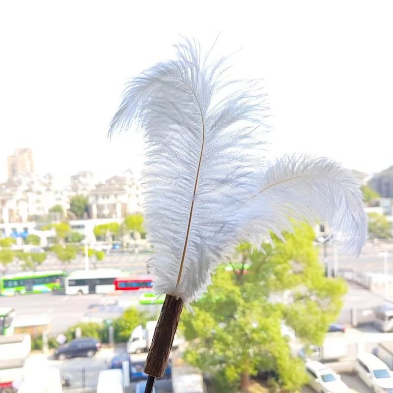 CHIYOOSU Cat Teaser Wand with Feather Bell Ostrich hair replacement head White