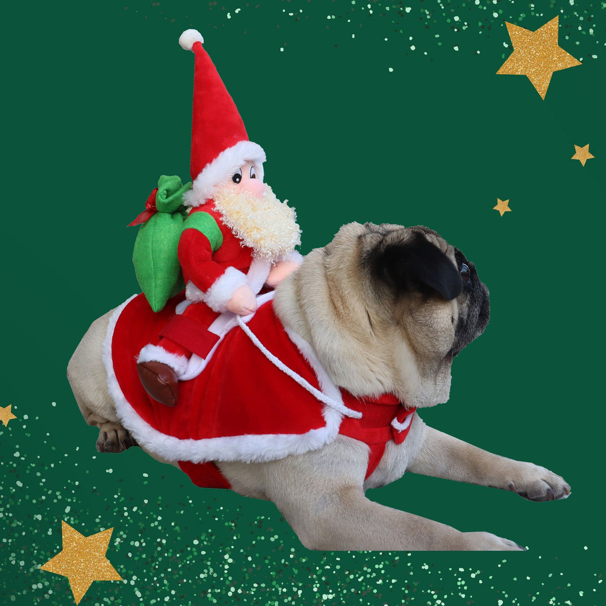 Pet Dog Christmas Costume Santa Riding Cloth Odd Pet S Old Man with White Beard XL