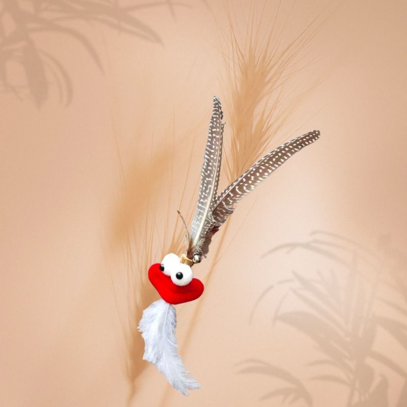 CHIYOOSU Cat Teaser Wand with Feather Bell Indian big mouth monster replacement head