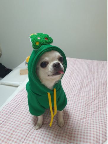 Pet Christmas Hoodie for Dogs Cats Polyester 314A Drawstring Christmas Hoodie Green Tree XXL (Chest 64cm, Recommended for 18lb Pets)