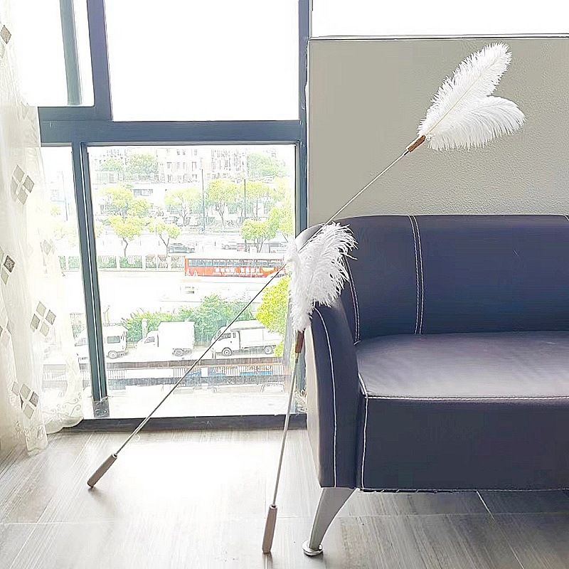 CHIYOOSU Cat Teaser Wand with Feather Bell Ostrich feather duster with extendable handle - 3 section telescopic - white