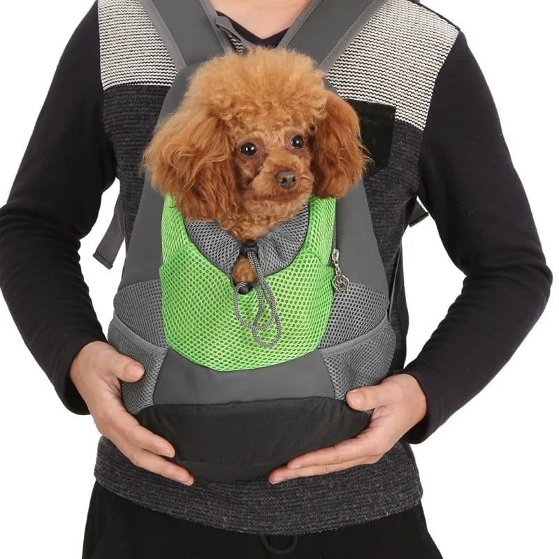 Ventilated Small Pet Carrier Backpack – Hands-Free Nylon Travel Bag with Adjustable Head Opening and Side Pockets, Ideal for Walking, Hiking and Daily Outings with Small Dogs and Cats (L, Rose)