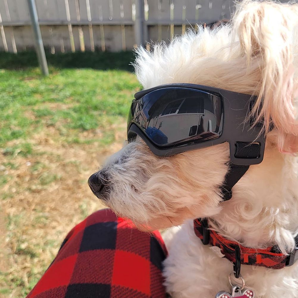 Pet Sunglasses with UV Protection Soft TPU Frame Adjustable Headband Dog Goggles Cat Sunglasses for Outdoor Travel Car Rides Eye Protection (M, Red)