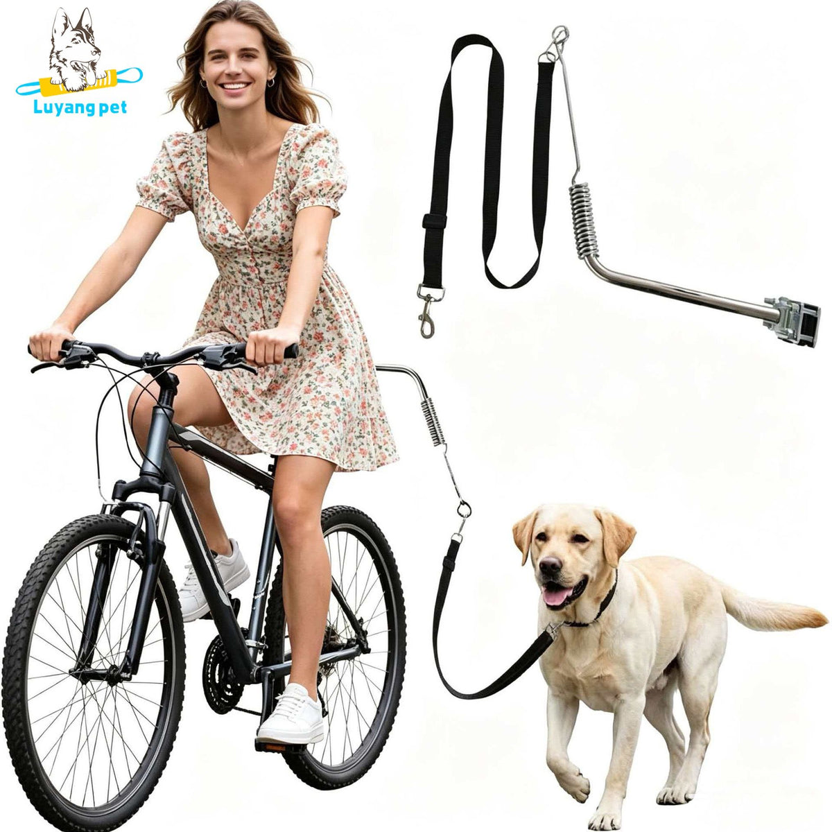 Bike Dog Leash with Shock-Absorbing Spring Bracket – Hands-Free Cycling Dog Walker for Outdoor Adventures, City Streets, and Suburban Trails, Secure Metal Mount and Durable Nylon Strap for Safe, Comfortable Joint Rides with Your Furry Companion (Silver)