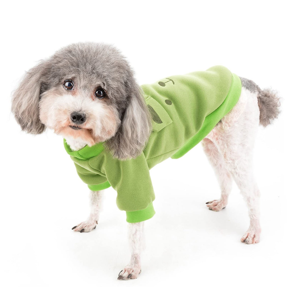 Cute Dog Clothes for Small Dogs Winter Sweater Warm Fleece Soft Pet Sweatshirt Print Cat Clothe, Green, Small