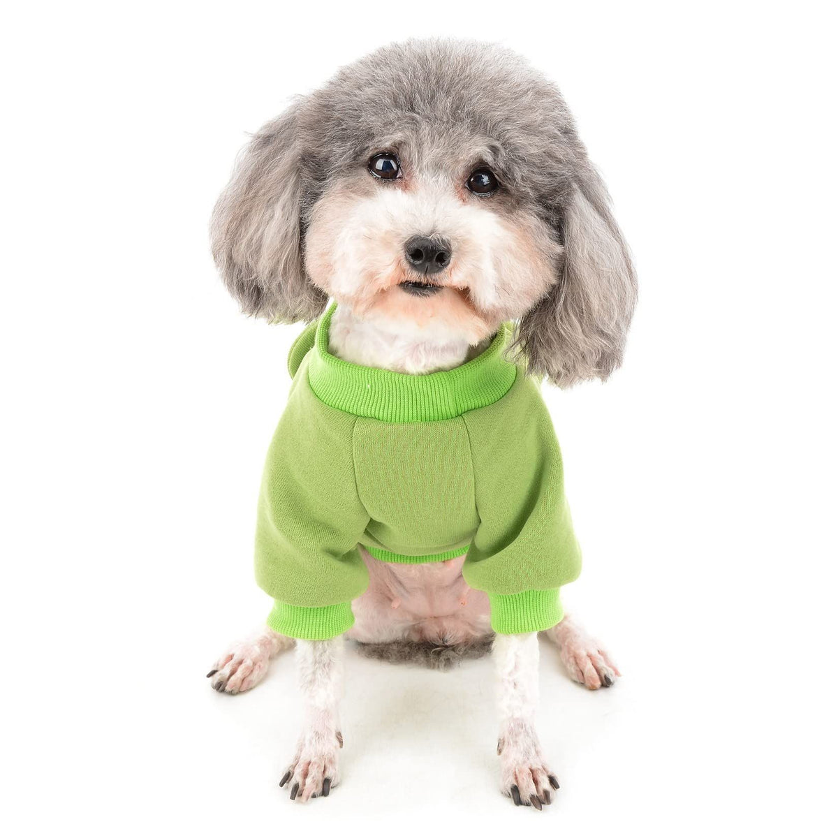Cute Dog Clothes for Small Dogs Winter Sweater Warm Fleece Soft Pet Sweatshirt Print Cat Clothe, Green, Small