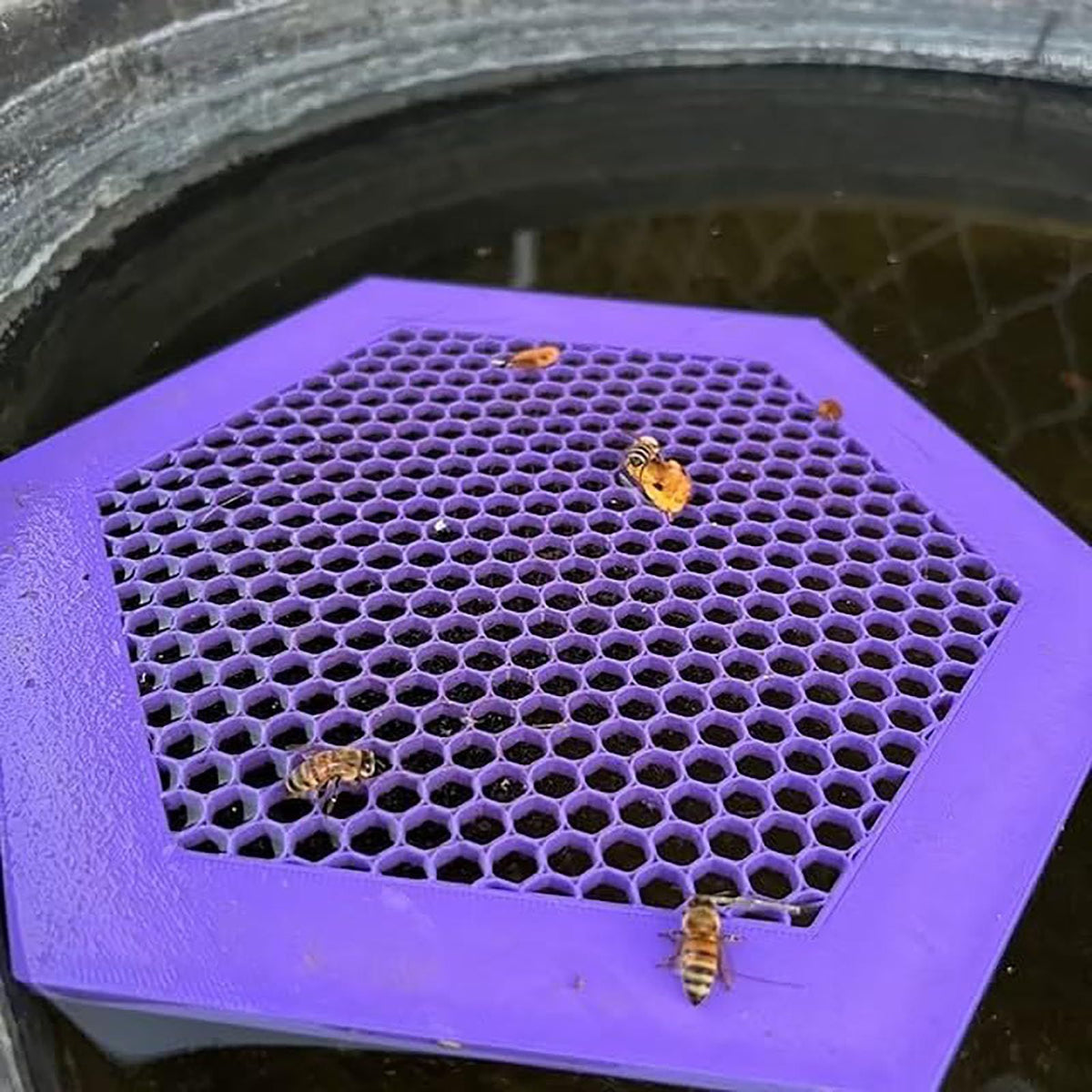 Floating Bee Island,Printed Floating Bee Island,Bee Cups for The Garden,Floating Bee Island for Drinking 2pcs