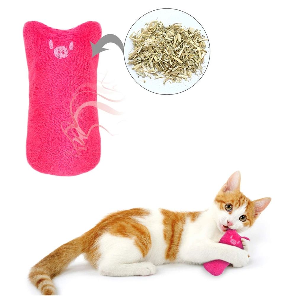 5Pcs Bite Resistant Catnip Toys for Cats,Catnip Filled Cartoon Mice Cat Chew Toy (Multicolored)Cat Catnip Toys