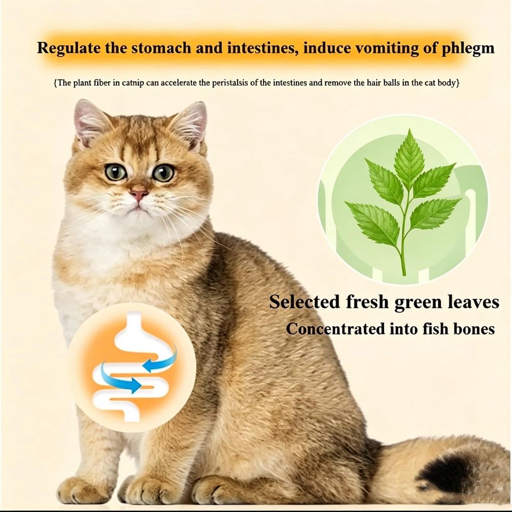 Catnip and Silvervine Chew, Natural Silvervine Fish Bone Dental Chew, Teeth Cleaning & Boredom Relief Toy for Indoor Cats