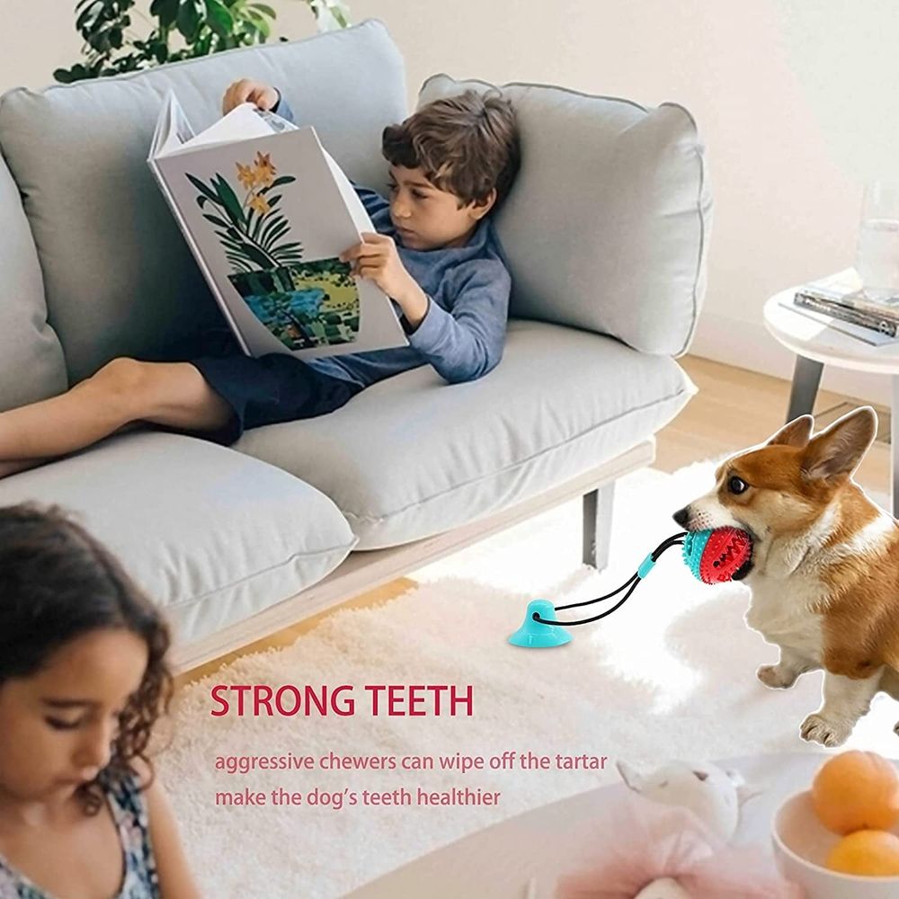 Dog Toys, Dog Chew Toys for Aggressive chewers, Puppy Dog Training Treats Teething Rope Toys for Boredom, Dog Puzzle Treat Food Dispensing Ball Toys for Puppies Teething Small Dogs (Blue)