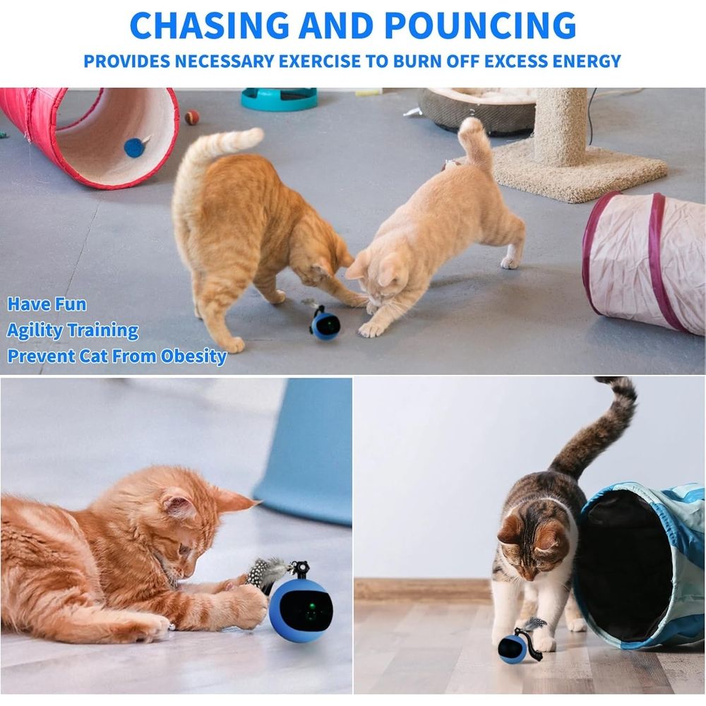 Interactive Cat Toy Ball with Remote Control, Automatic Moving & Rolling Cat Feather Toy, USB Rechargeable, Motion Activated Remote Control Cat Toy for Indoor Cats
