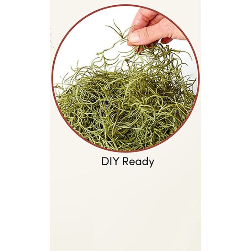 Succulents Spanish Moss, Christmas Tree Decorations, Fake Moss for Artificial Hanging Plants & Moss for Plants - (3pck)