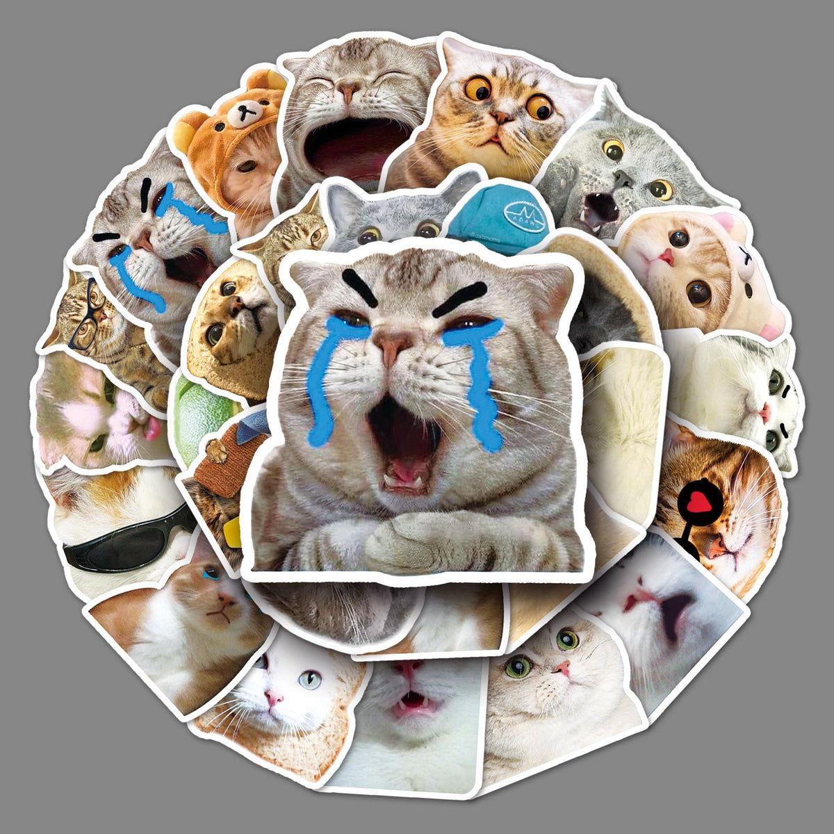 100 Pcs Cat Meme Stickers, Funny Cat Stickers, Cute Cat Stickers Funny Cat Meme, Cat Vinyl Waterproof Stickers for Adults, Teens