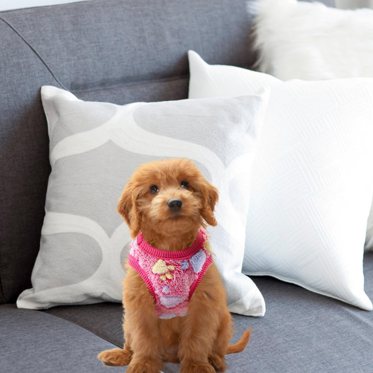 2pcs Harness Sweater for Small Dog Winter Clothes Soft Bunny Vest Cozy T- Shirt Pet Party Pet Clothes Pet Cosplay Costume Pet