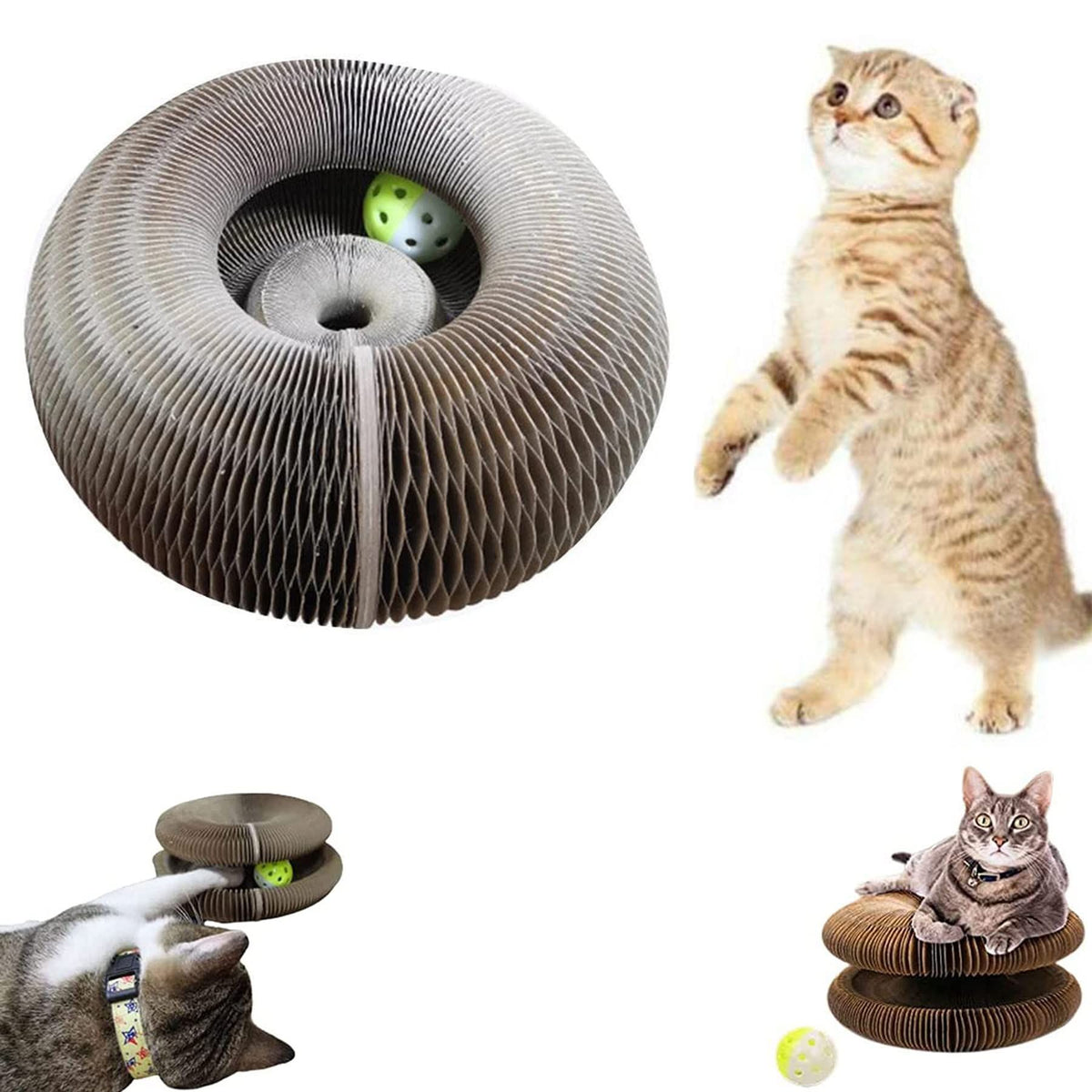 Magic Organ Cat Scratching Board Comes with a Toy Bell Ball, Cat Grinding Claw Scratching Board, Interactive Scratcher Cat Toy